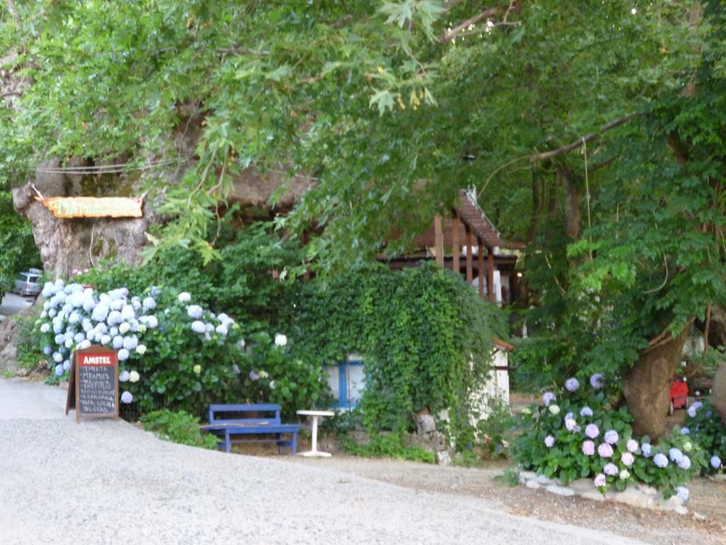 Galini Samothraki Hotel Therma  Exterior photo