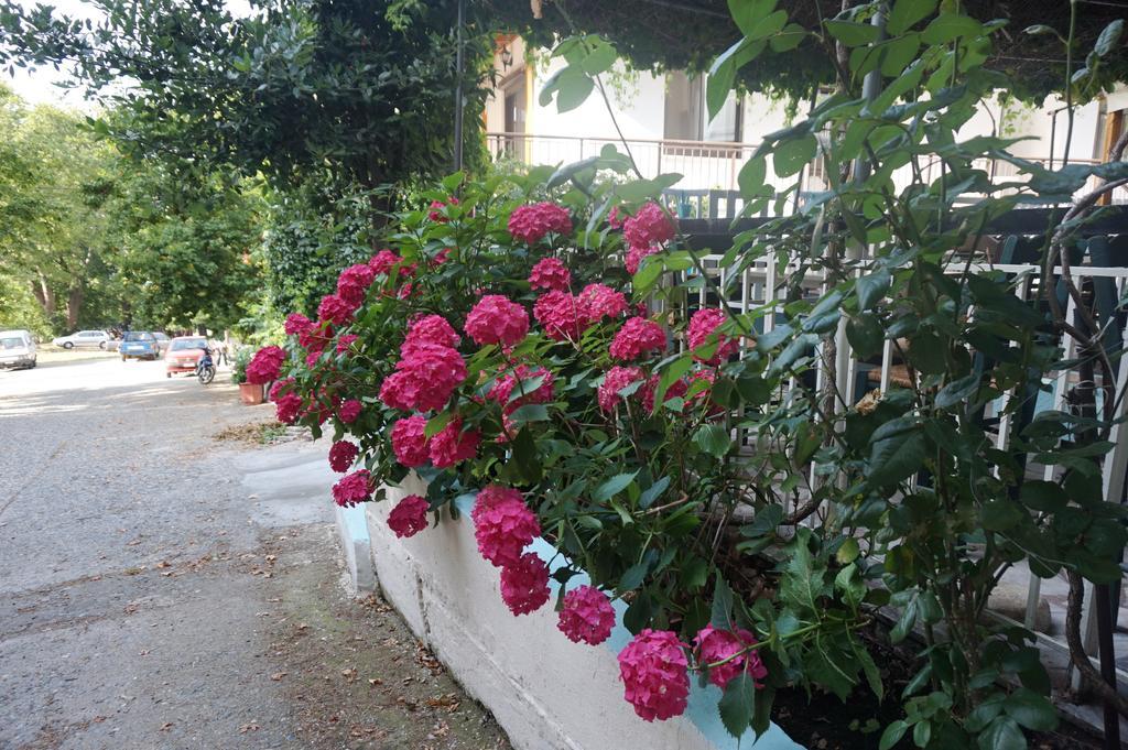Galini Samothraki Hotel Therma  Exterior photo